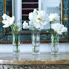 Discover the Elegance of Baccarat Vase in Jilicc