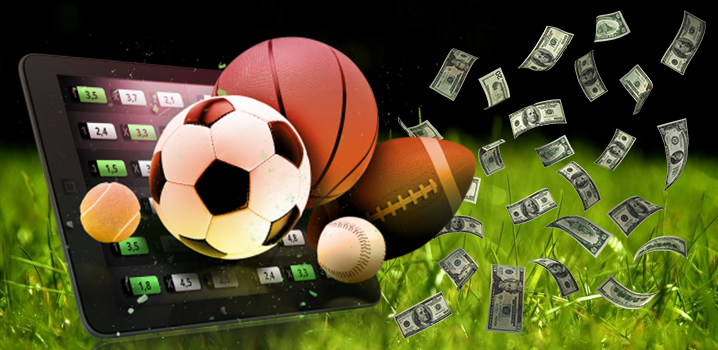 Elevate Your Game: The Taya365 Sports Betting Experience